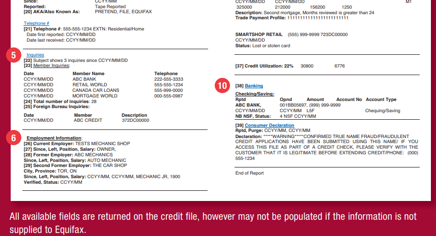 Equifax credit report extract
