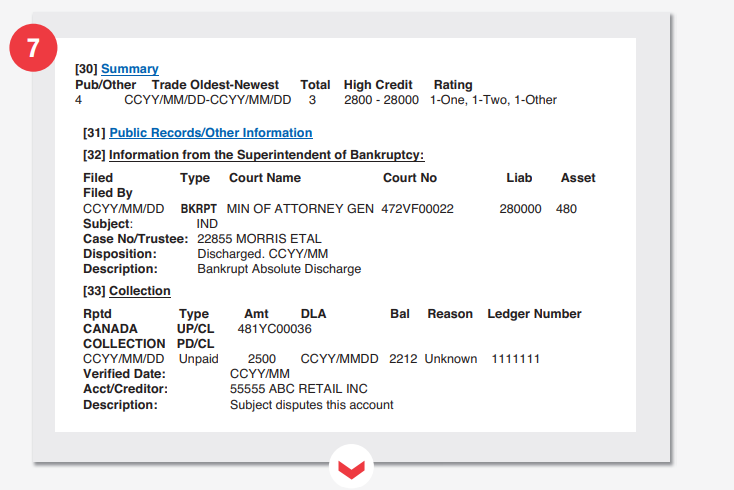 Equifax credit report extract